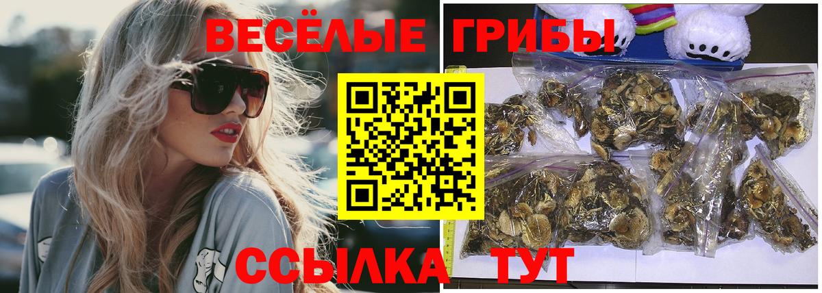Каспийск  Галлюциногенные грибы Psilocybine cubensis  Вход с VPN  Псилоцибиновые грибы Psilocybine cubensis 