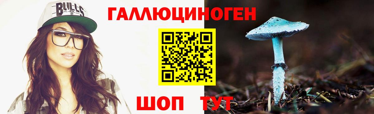 Галлюциногенные грибы Psilocybe Каспийск